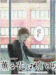 七七影视喜剧之王综艺